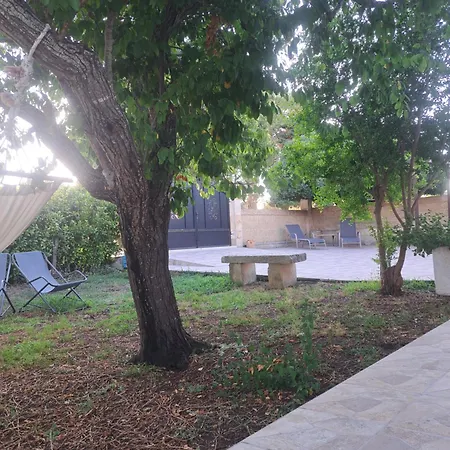 B&B Piccolo Vigneto-2